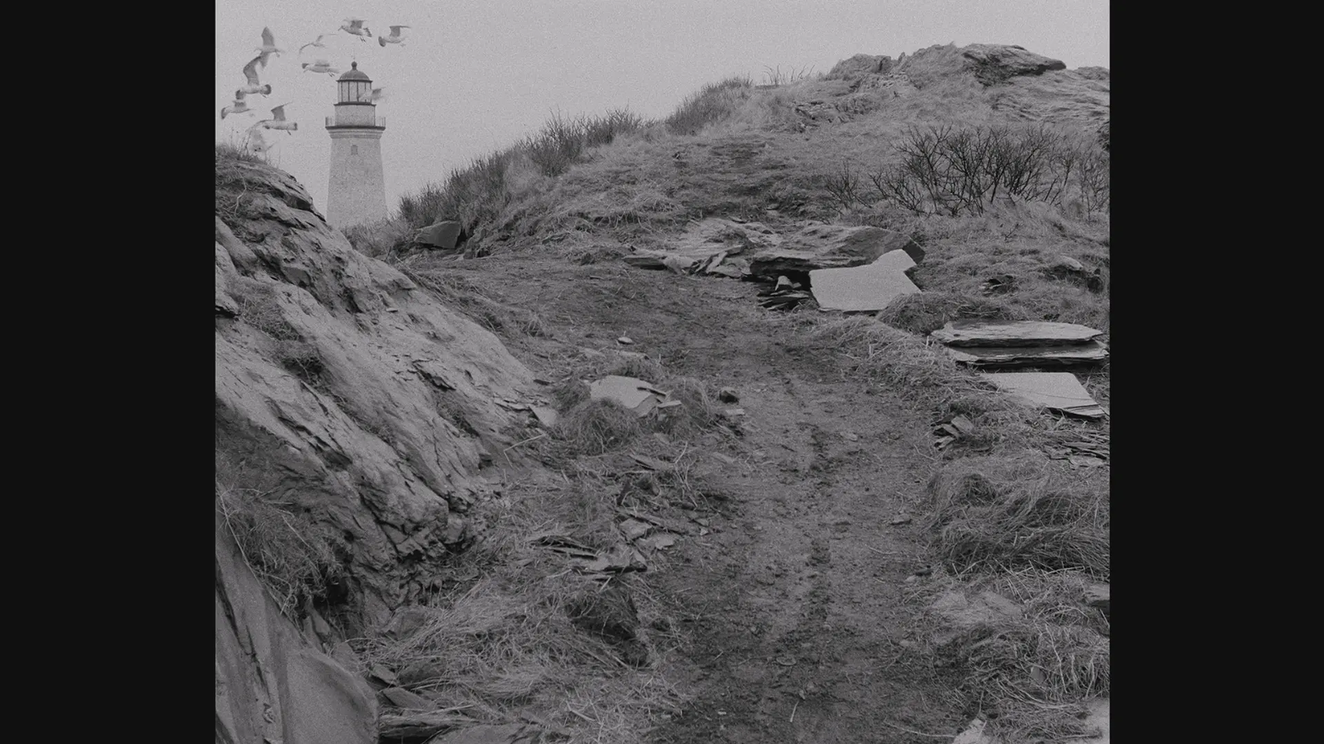 [ed2k][2019][灯塔][罗伯特·帕丁森/威廉·达福][恐怖/奇幻][中英字幕][MKV/9.99GiB][BluRay.1080p.x264.DTS-CMCT]