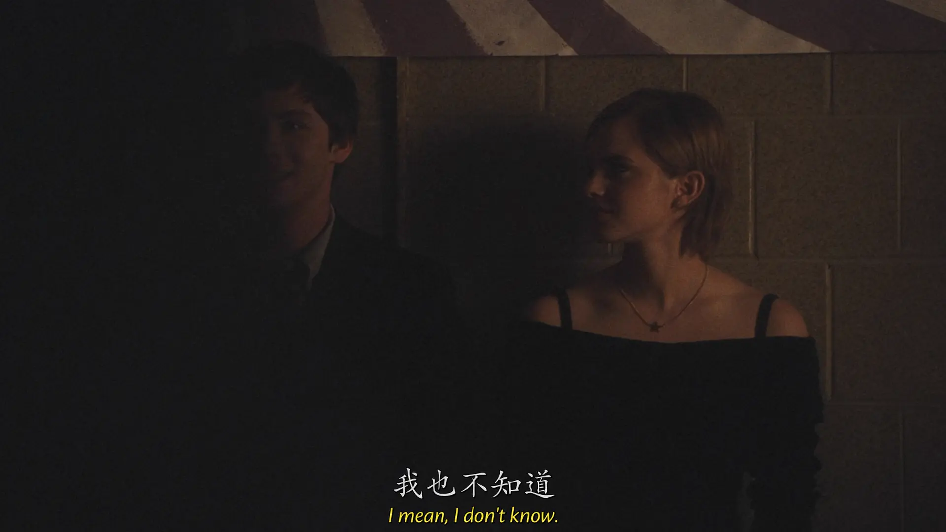 [ed2k][2012][壁花少年][罗根·勒曼/艾玛·沃森][剧情/爱情][中英字幕][MKV/6.00GiB][BluRay.1080p.x265.10bit.DTS-CMCT]