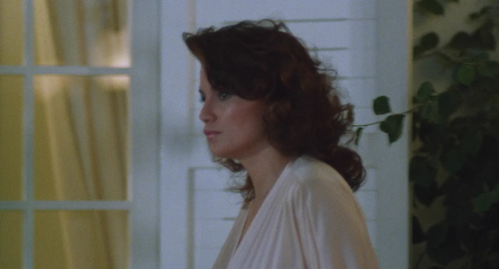 [ed2k][1987][谵妄][Serena Grandi/Daria Nicolodi][惊悚/情色][简繁字幕][MKV/8.93GiB][BluRay.1080p.x264.FLAC-CMCT]