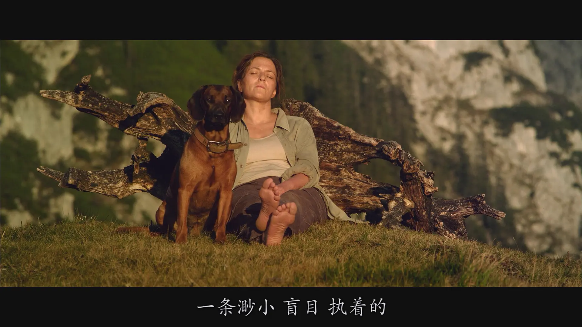 [ed2k][2012][隐墙][马蒂娜·格德克/卡尔海因兹·哈克尔][剧情/奇幻][简繁字幕][MKV/7.70GiB][BluRay.1080p.x264.DDP.5.1-CMCT]