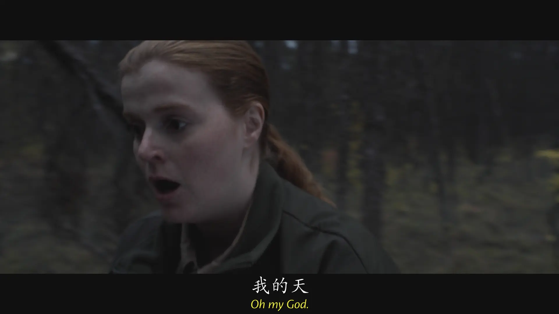 [ed2k][2020][人狼恶][卡米尔·苏利文/莎莫·H·豪威尔][惊悚/恐怖][中英字幕][MKV/8.18GiB][1080p.中英字幕￡CMCT陆判]