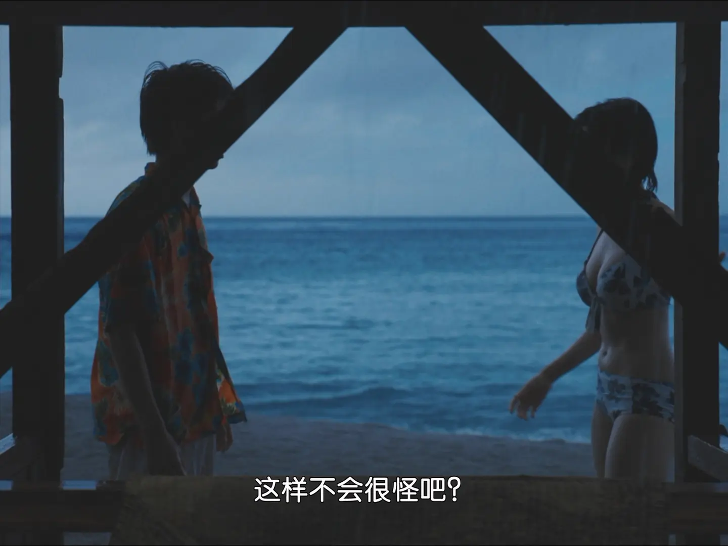 [ed2k][2025][旅途中的日子][沈恩敬/堤真一][剧情][中文字幕][MKV/4.37GiB][1080p.BluRay.x265.10bit.DTS-WiKi]