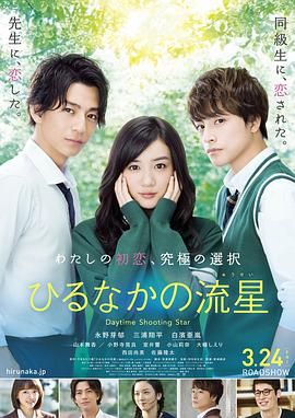 [2017][昼行闪耀的流星][爱情][简繁双字幕][mkv/9.77g][BluRay 1080p DTS-HDMA5.1 x265 10bit-CHD]